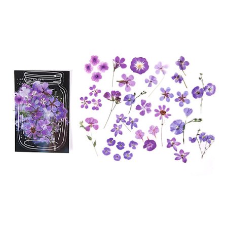 40 kpl irrotettavia vedenpitäviä PET-kasvitarrroja askarteluun ja tee-se-itse projekteihin