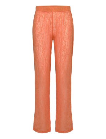 Résumé | Rayannars Pant | L