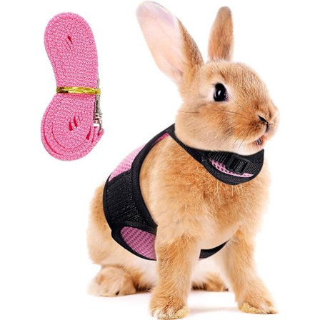 Justerbar Kaninsele Mjukt Kanin Koppel Sele Mesh Bunny Sele Hamsterväst med Elastiskt Koppel för Små Djur Kaniner Hamstrar Katter Promenader
