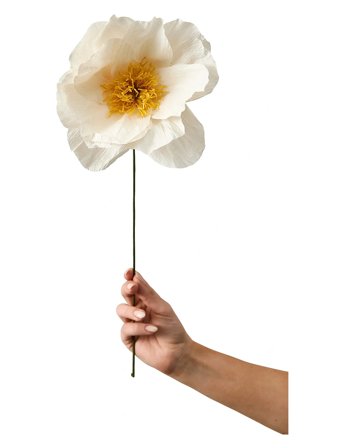 Studio About | Paper Flower | ONE SIZE