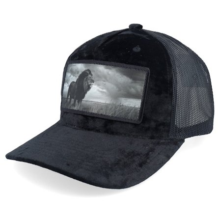 Calza Pennello - Zwart trucker Cap - King Of Lion Big Patch Velvet Black Trucker @ Hatstore