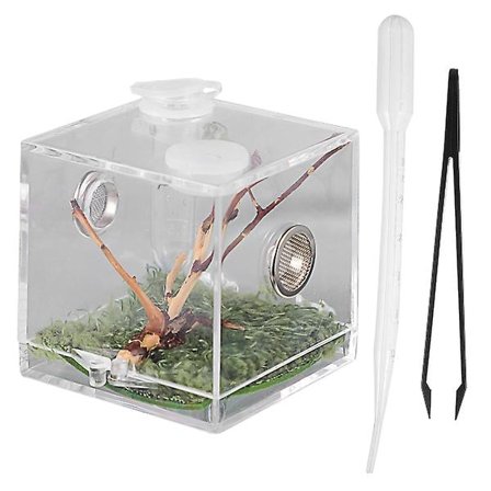 Reptil avlsboks med dråpeteller og pinsett Pet Terrarium