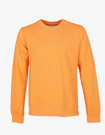 Classic Organic Crew - Sandstone Orange - M
