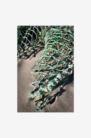 Malerifabrikken - Juliste Net in sand - Vihreä - Julisteet - - Homeroom