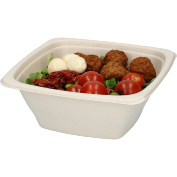 SKÅL BAGASSE 100CL