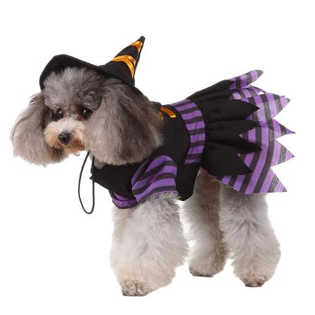 1 Set Svart med Lila Halloween Husdjur Tillbehör Hundkläder