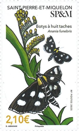St. Pierre & Miquelon - Sommerfugl - Postfrisk frimærke