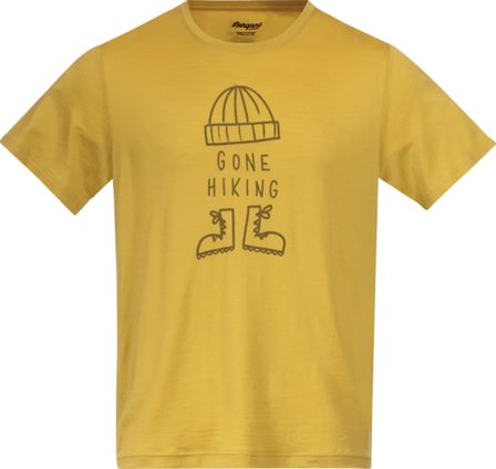 Bergans Men's Graphic Wool Tee Men short-sleeved sweaters Green L