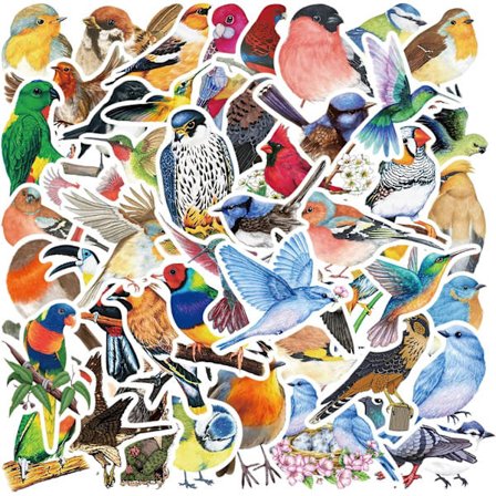50 stk. fugleklistermærker, æstetiske vinyl vandtætte klistermærker til vandflaske, bærbar computer