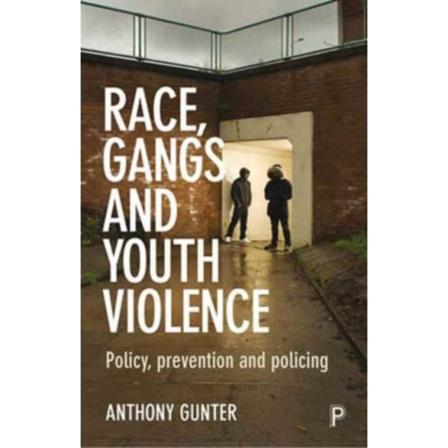 Race, Gangs and Youth Violence (häftad, eng)