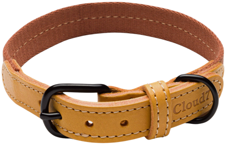 Cloud7 Dog Collar Madeira kaulapanta, XS-M, Ginger