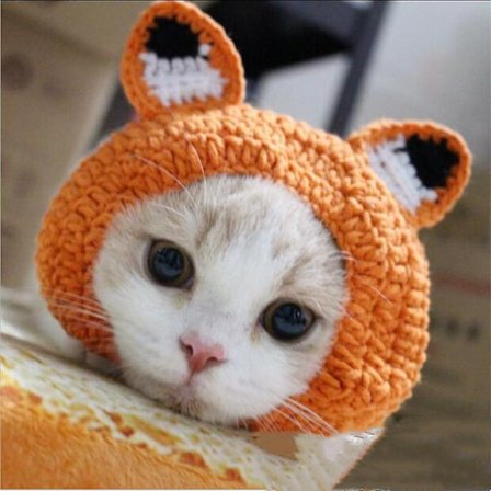 OrangeM Morsom lue for hund, grønn farge, passer til alle