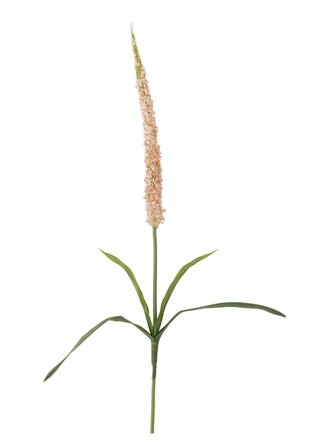 Bloomingville Kunstig Stilkblomst Foxtail Rosa H73