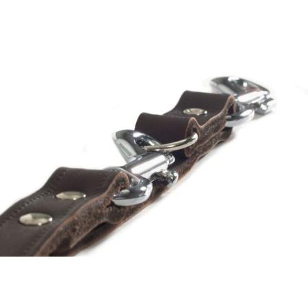 Beeztees Hundkoppel Läder Brunt 200x1,2 Cm 736401 Brun