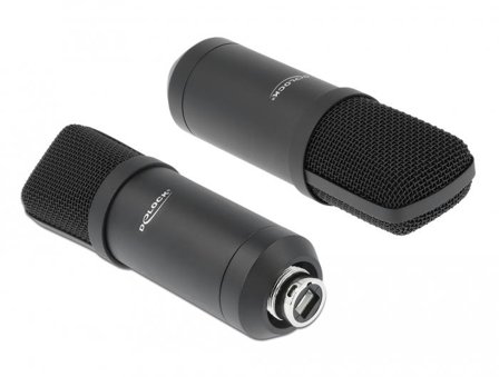 Delock Professional USB Condenser Microphone Set for Podcasting and Gaming - mikrofon