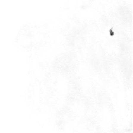 Grå sweatshirt från Polo Ralph Lauren