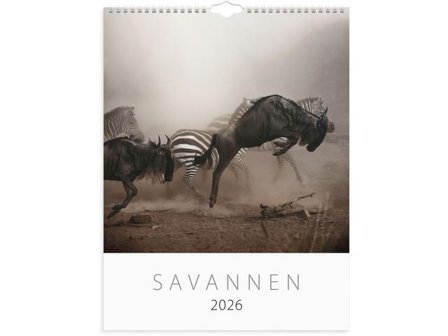 Burde Väggkalender Savannen 2026 - Lyreco - Almanackor och kalendrar - Väggkalendrar - Bildkalendrar