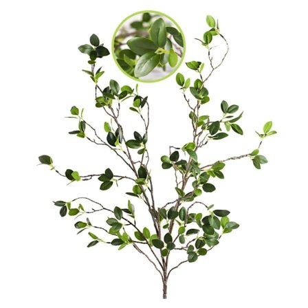 Kunstige planter Grønne grener Bladbutikk Hage Kontor Hjemmedekor Hjemmefotografering Dekorativ blomster