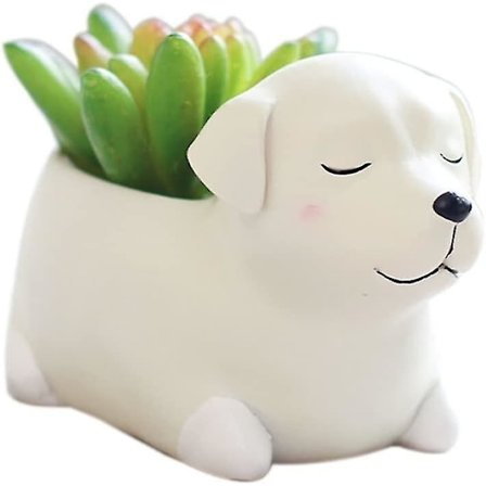Sød Sovende Schnauzer Hund Naturlig Harpiks Kaktus Sukkulenter Plante Vase Blomsterpotte