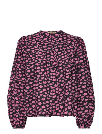 Stella Nova | Heda | 34