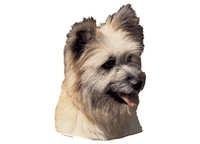 Pyreneisk gjeterhund - klistremerker