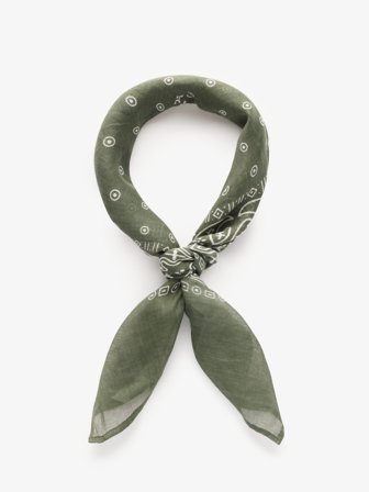 John Henric Men's Grünes Paisley Bandana Size Onesize