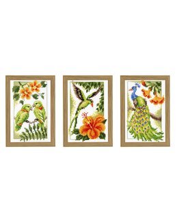 Bild Vögel 3-er Pack