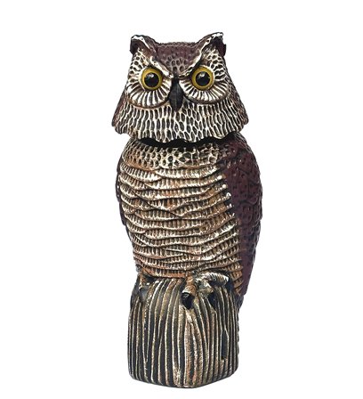 Uil met beweeglijke kop