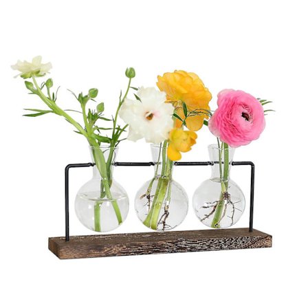 Kasvien Puinen Telikka Ilmaistutuslamppu Kiertäväpidike Retro