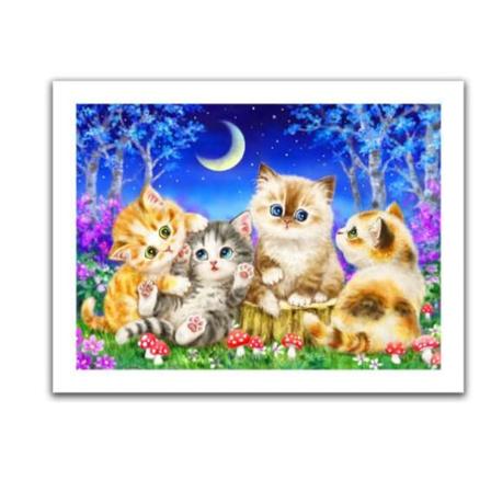 Fantasy Starry Cat diamond painting (40*30cm)