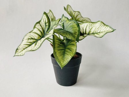 Trend Design Kunstig Plante Syngonium
