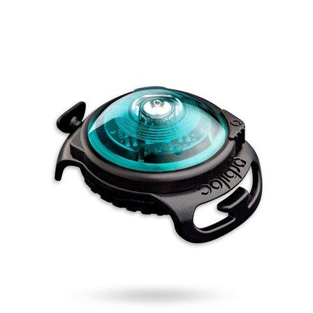 Orbiloc - Orbiloc Safety Light Turkos - Säkerhetslampor & reflxer till hundar- För stora hundar