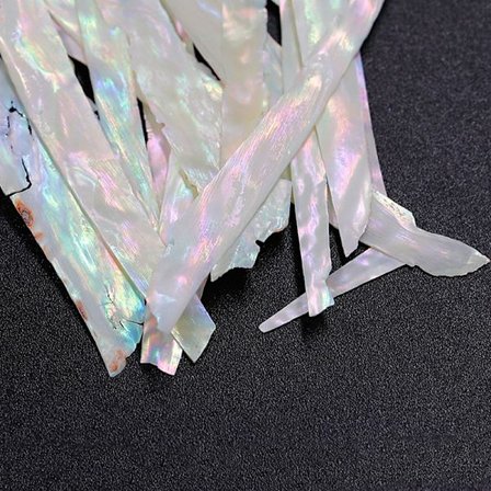 Nails Abalone Shell Slice Nail Art Stickers Glitter Paljett Frag