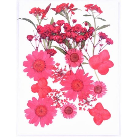 Materialpose med tørkede blomster, preget DIY-deksel til mobiltelefon, dekorasjon til fotoramme