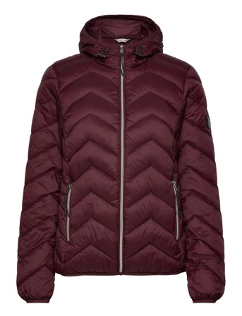 Frpadma Ja 1 Burgundy Fransa