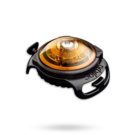 Orbiloc - Orbiloc Safety Light Gul - Säkerhetslampor & reflxer till hundar- För stora hundar