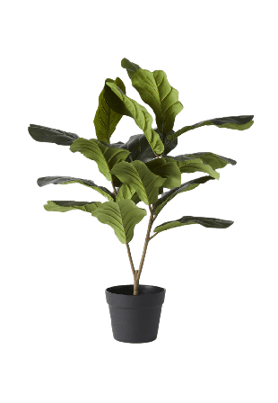 Åhléns Home Konstväxt fikus i kruka Blommor & växter Grön ONESIZE
