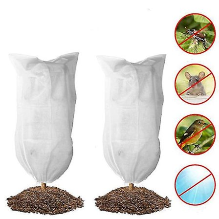 Plantefrostbeskyttelse Træ Frostbeskyttelsesetui Genanvendelig Med