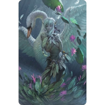 Swan (Night Fairies)