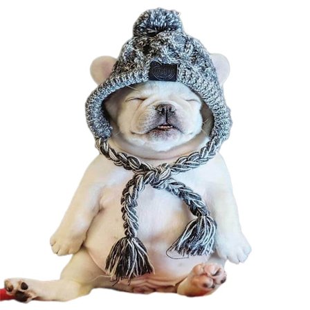 Hat, Varm Hundestrikket Hue, Vinterstrikket Hue til Hund, Huer til Små Hunde, Vinterhundelue med Ørehuller og Lang Kvast, Grå