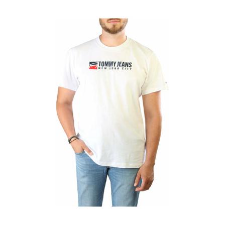 Tommy Hilfiger, T-shirt Dm 0Dm 14001 Wit, Heren, Maat:S
