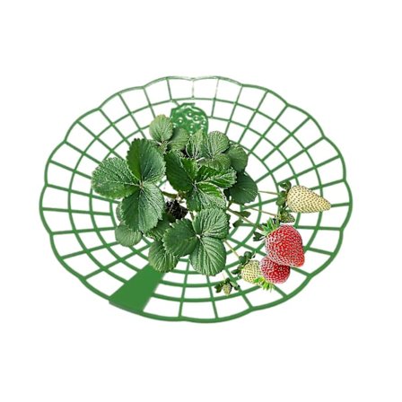 Glad*(20 kpl) Mansikkatuki, yhteensopiva ruukkukasvien kanssa, auringonkukkahylly, estää homeen ja härmän, lisää satoa, helppo koota,,