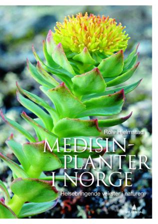 Medisinplanter i Norge - Bok av Rolv Hjelmstad - Hardback