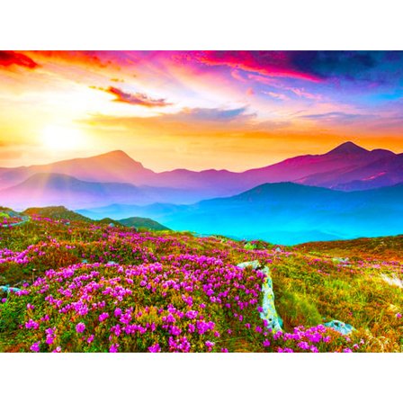 30x40cm 5D DIY Diamantmålning Full,Berg och Blommor#N,DIY