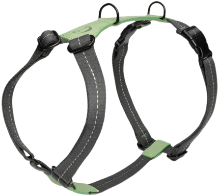 Cloud7 Harness XL-XXL Madeira Mint