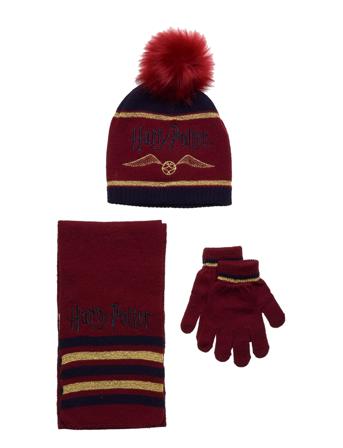 Set Cap + Scarf + Gloves Accessories Winter Accessory Set Multi/mønstret Harry Potter