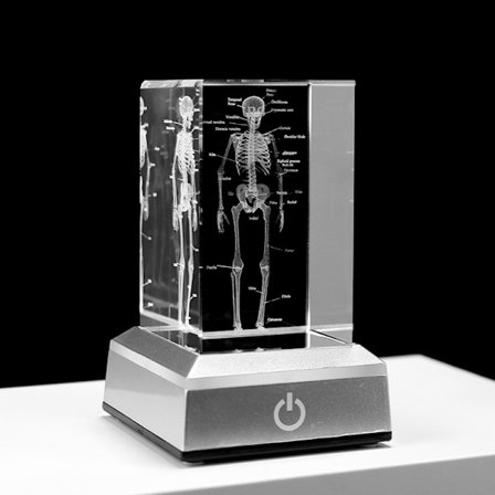 Ihmisen luuranko malli anatomia lahja kide luuranko malli lääketieteellinen patsas luu lääkäri tuote lääketieteeseen(Kuten kuvassa)