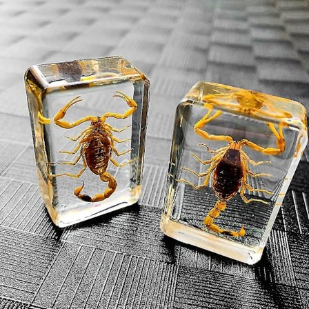 Insekt Kunstig Rav Smykker Skorpion Græshoppe Undervisningshjælp