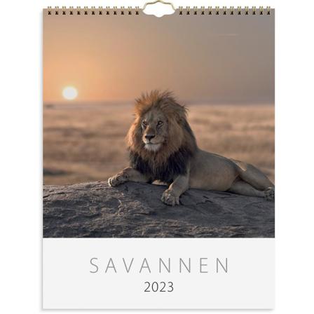 Väggkalender 2023 Savannen Multifärg