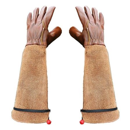 Mørkebrune XL havehandsker, roser beskæring tornebeskyttende handsker, have KLB